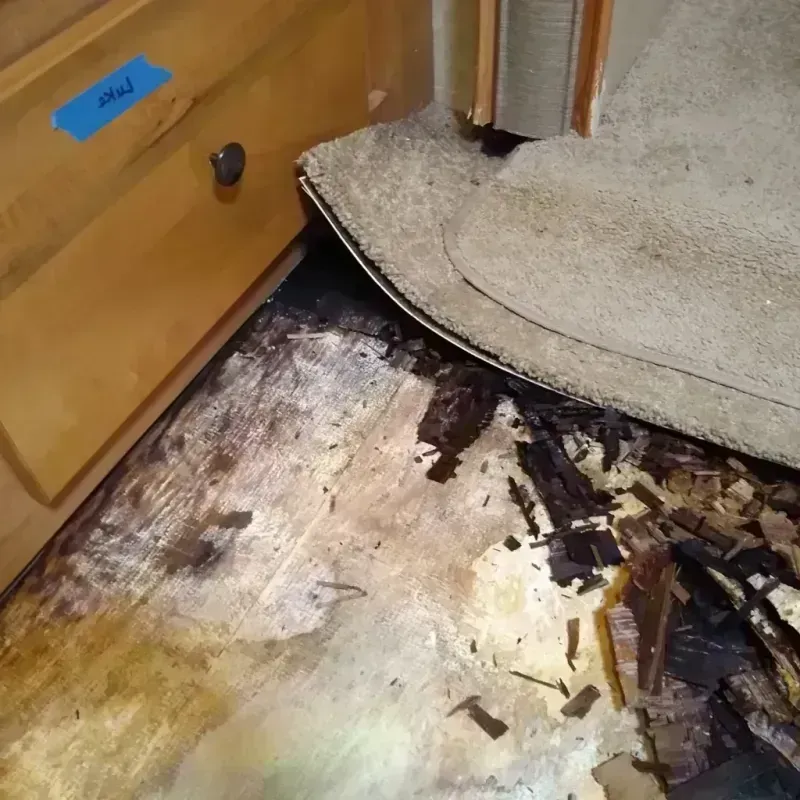 Wood Floor Water Damage in Richland County, MT